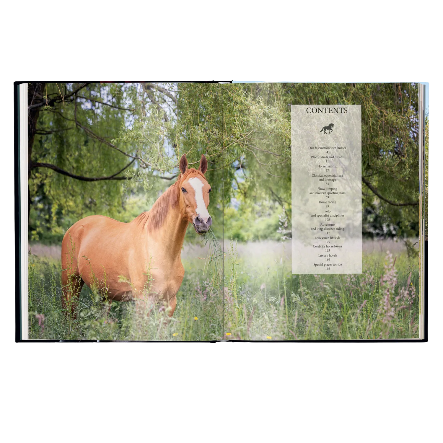 teNeues Equestrian The Ultimate Book Bildband Reiten