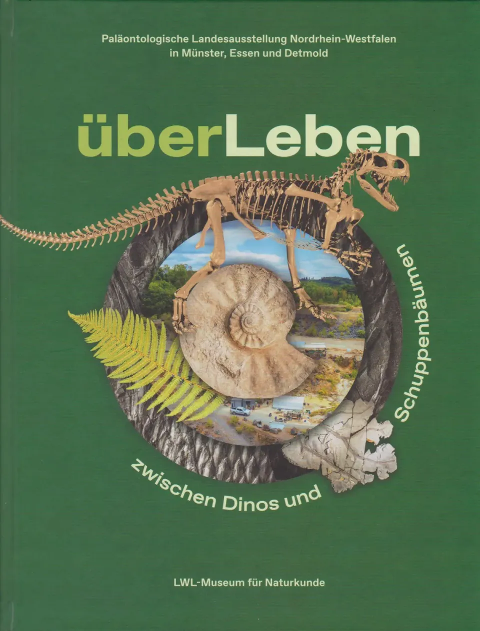 Isensee Verlag überLeben Buch Fossilien NRW