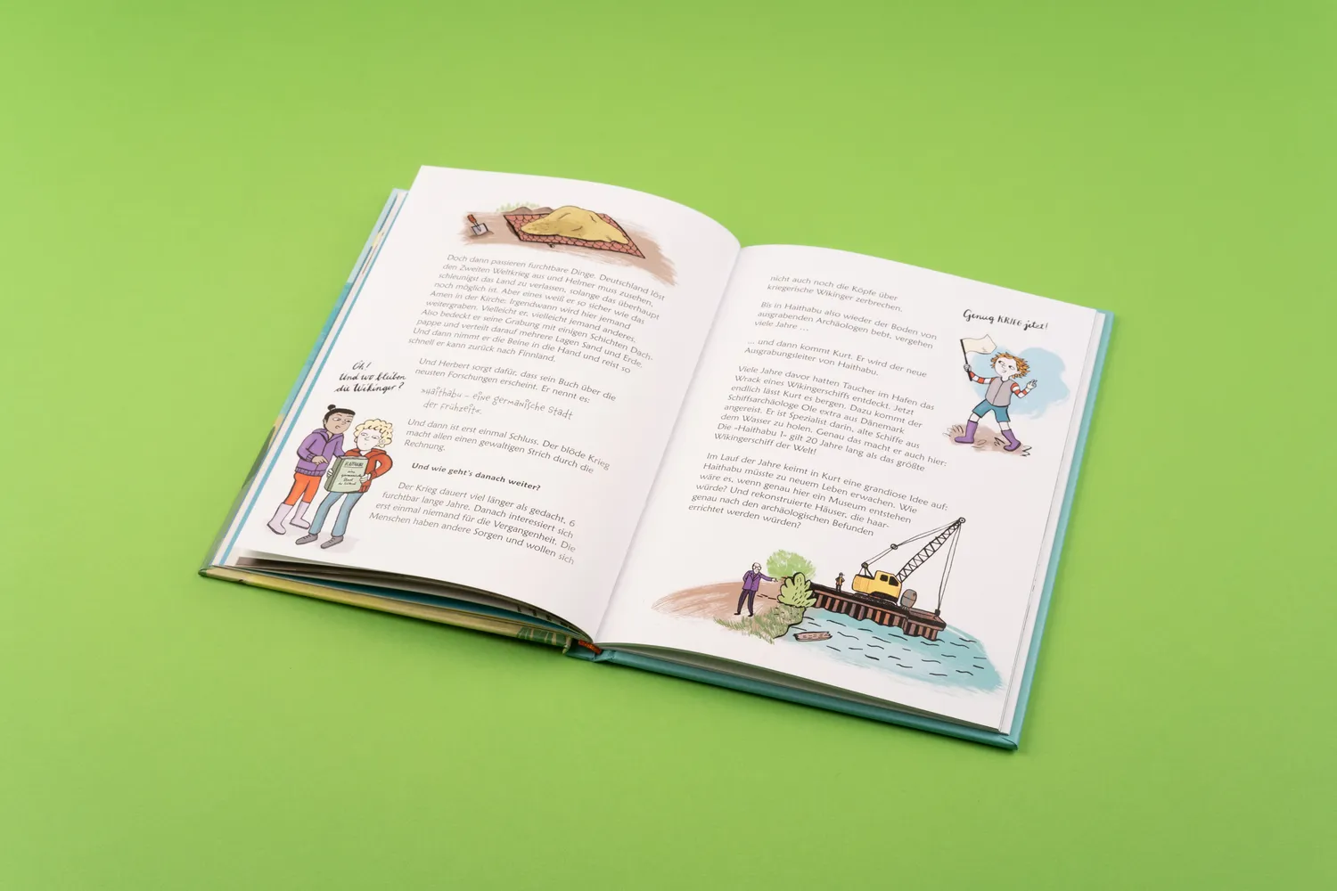 Seemann Henschel Wilde Wikinger in Sicht Kinderbuch Haithabu
