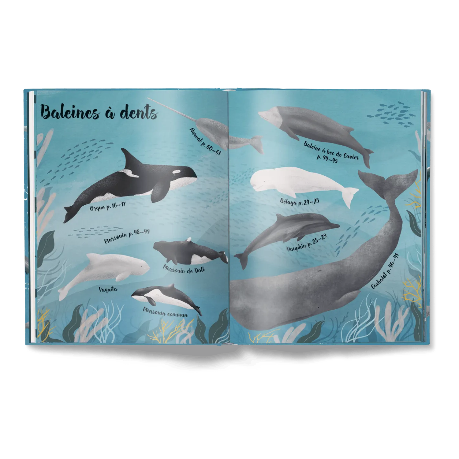 Little Gestalten Le Monde des Baleines Kinderbuch Wale französisch