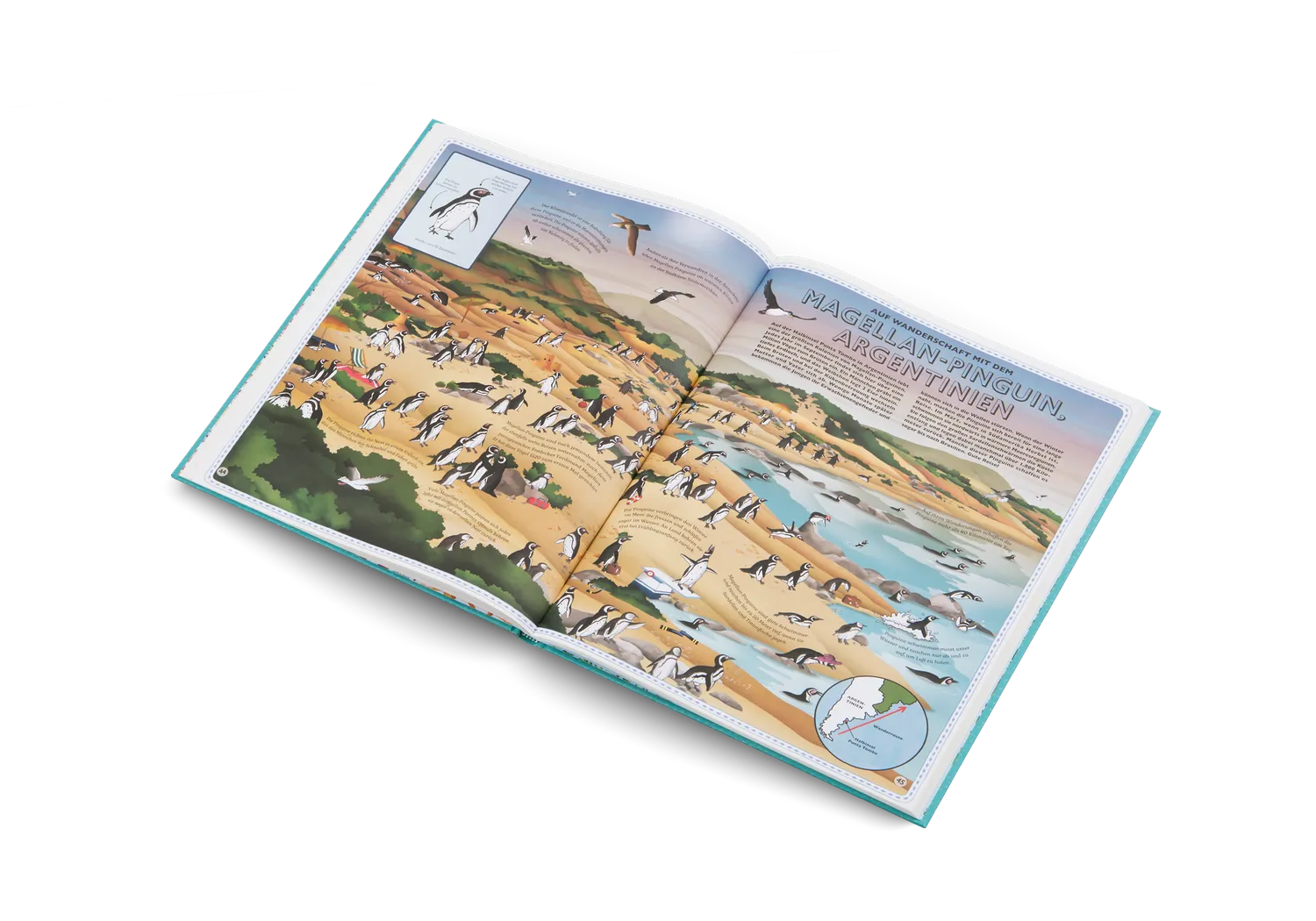 Little Gestalten Atlas Der Atlas der Ozeane Kinderbuch 7-9 Jahre