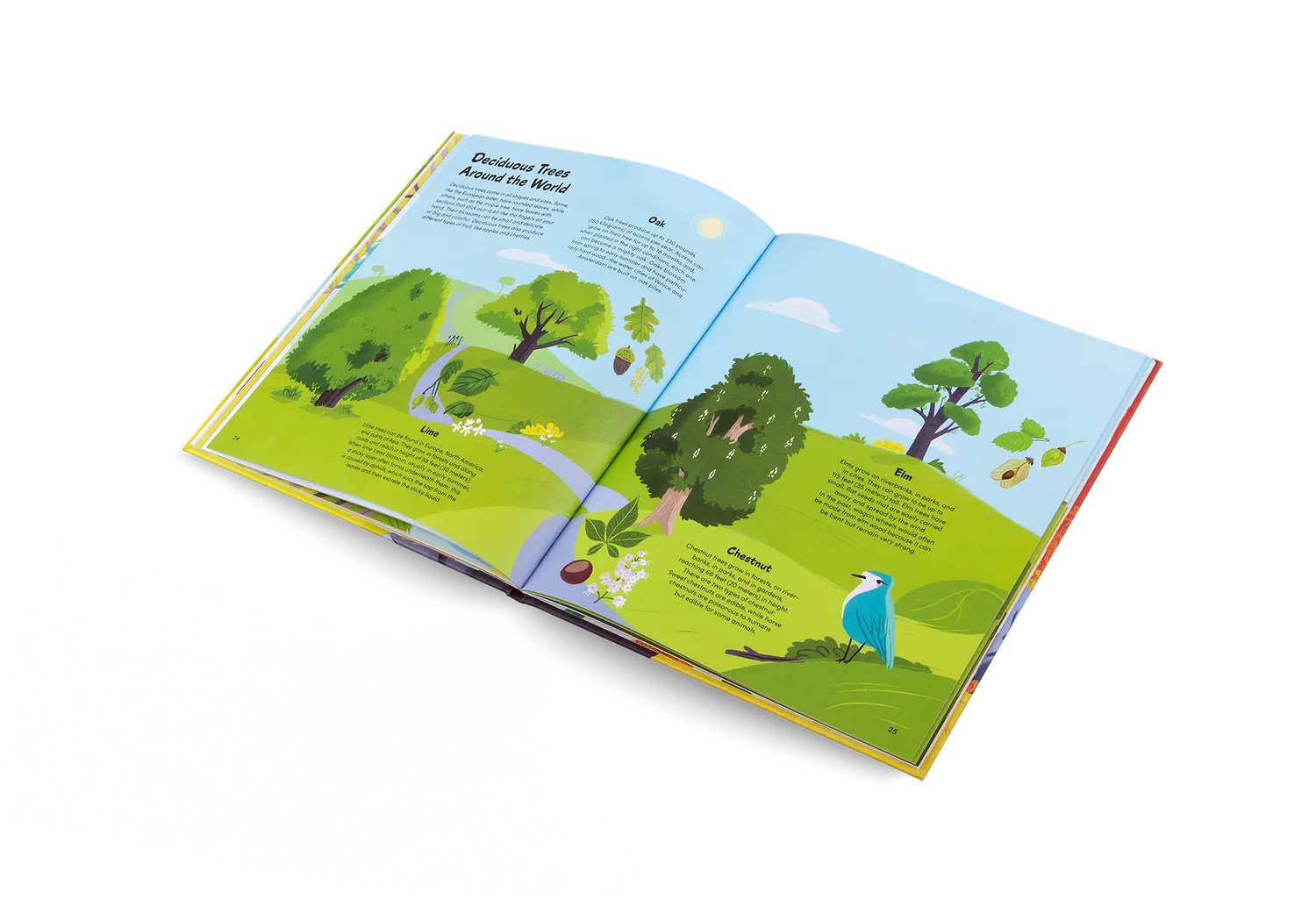 Gestalten The Little Book of Trees Kinderbuch Bäume