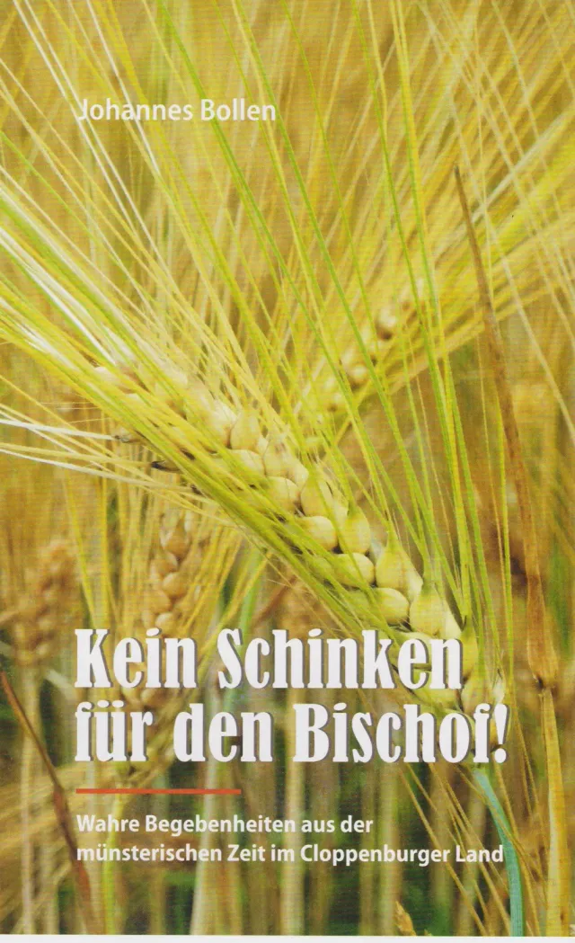 Isensee Literatur Kein Schinken für den Bischof Buch