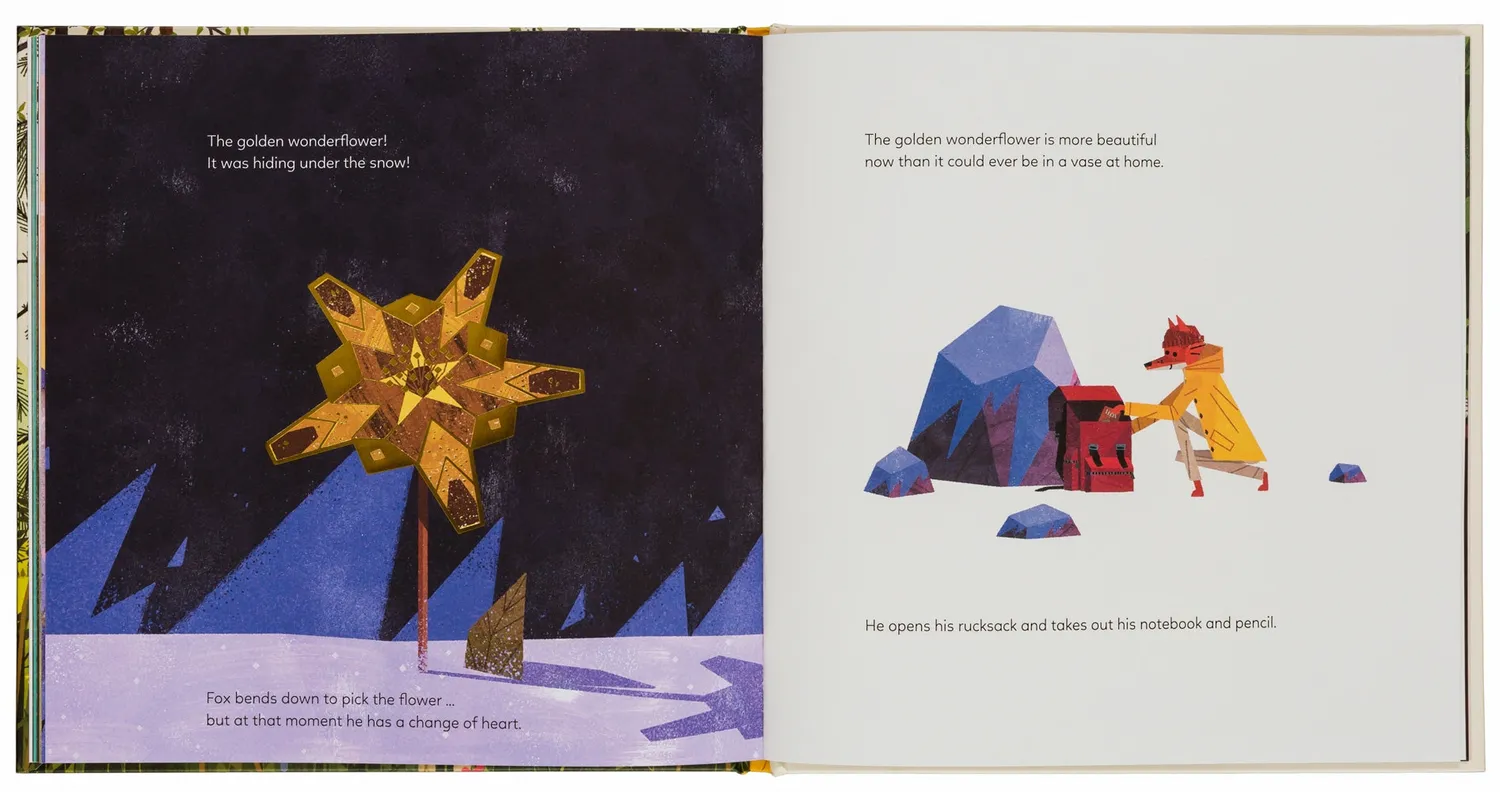 Gestalten Mystery Golden Wonderflower Bilderbuch Englisch