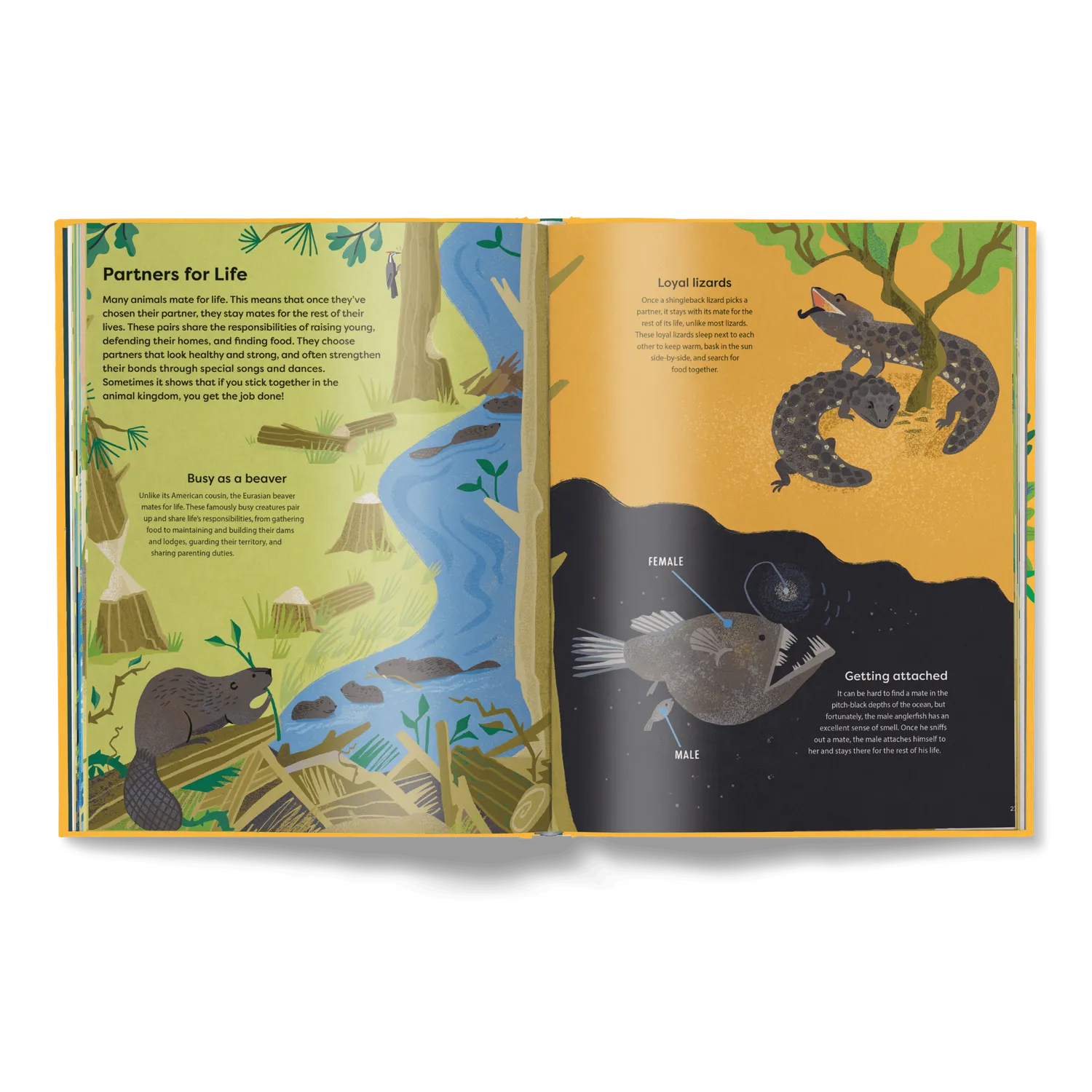 Little Gestalten Home Is Where the Herd Is Kinderbuch Tiere