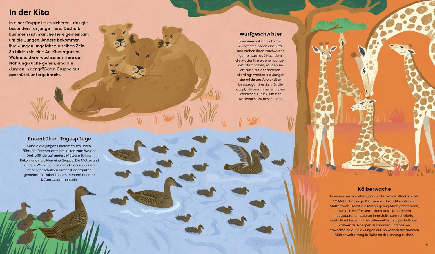 Kleine Gestalten Wildes Zusammenleben Kinderbuch Tierfamilien