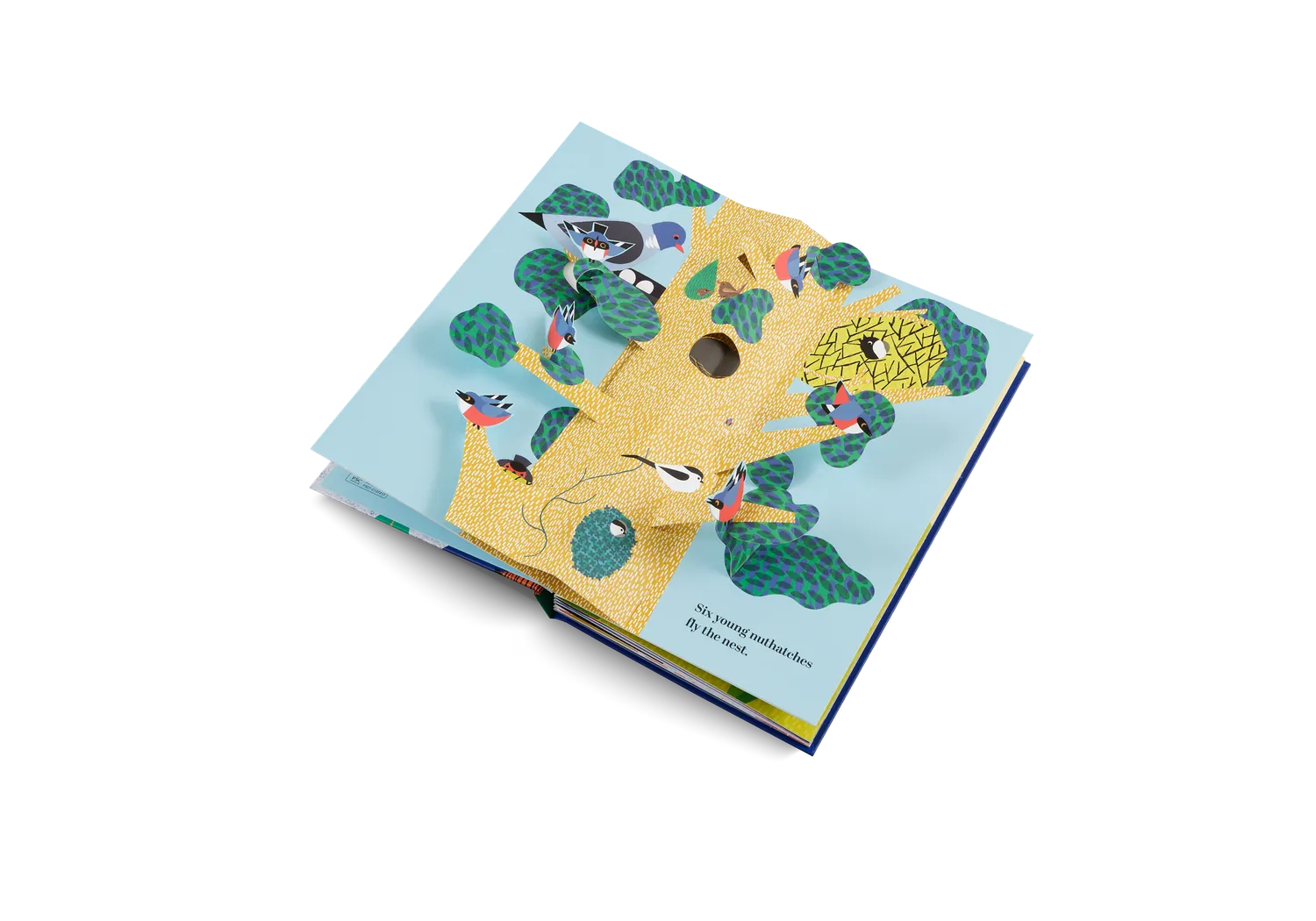 Gestalten Six Little Birds Pop-up-Bilderbuch englisch