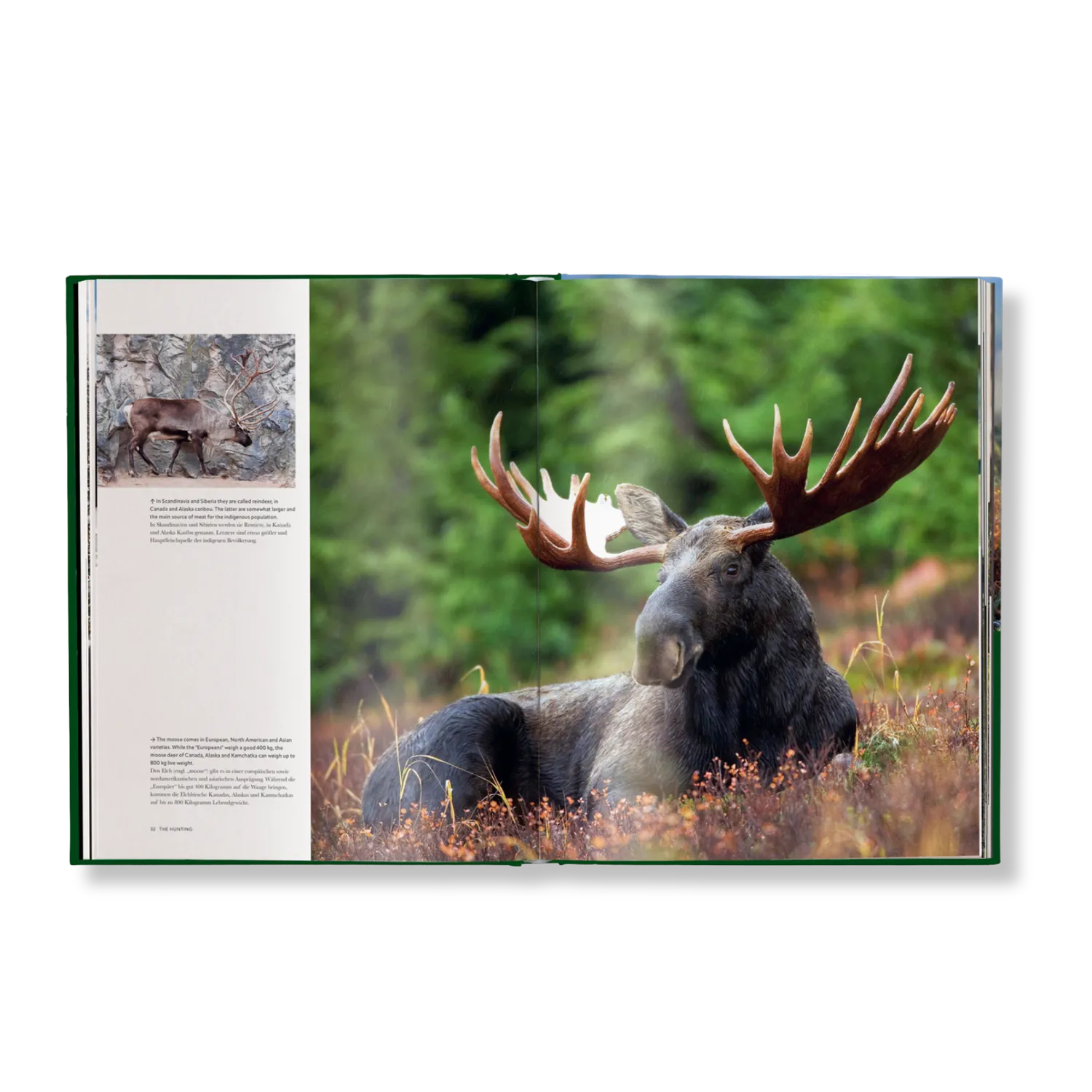 teNeues Jagd Das ultimative Buch Bildband Jagdkultur
