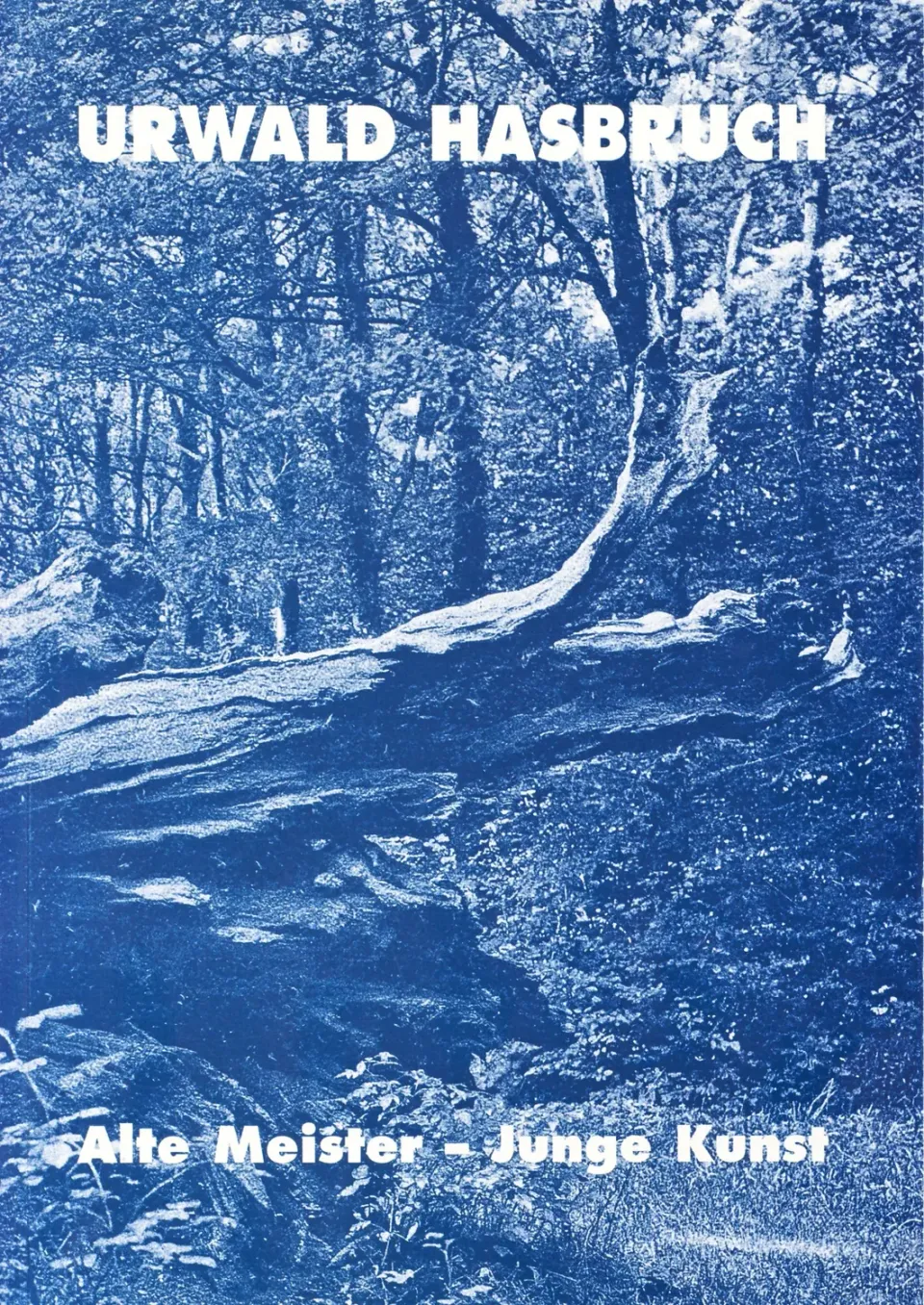 Isensee Kunst Urwald Hasbruch Buch Bildband Natur