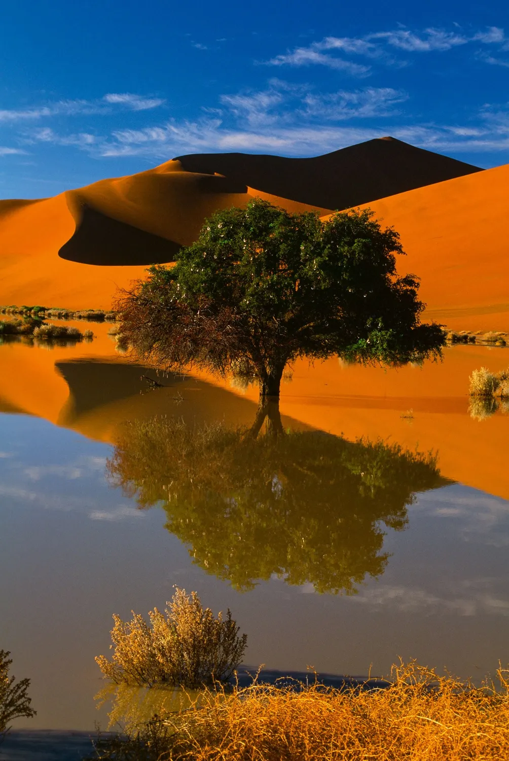 Gestalten Deserts Bildband Wüsten der Welt