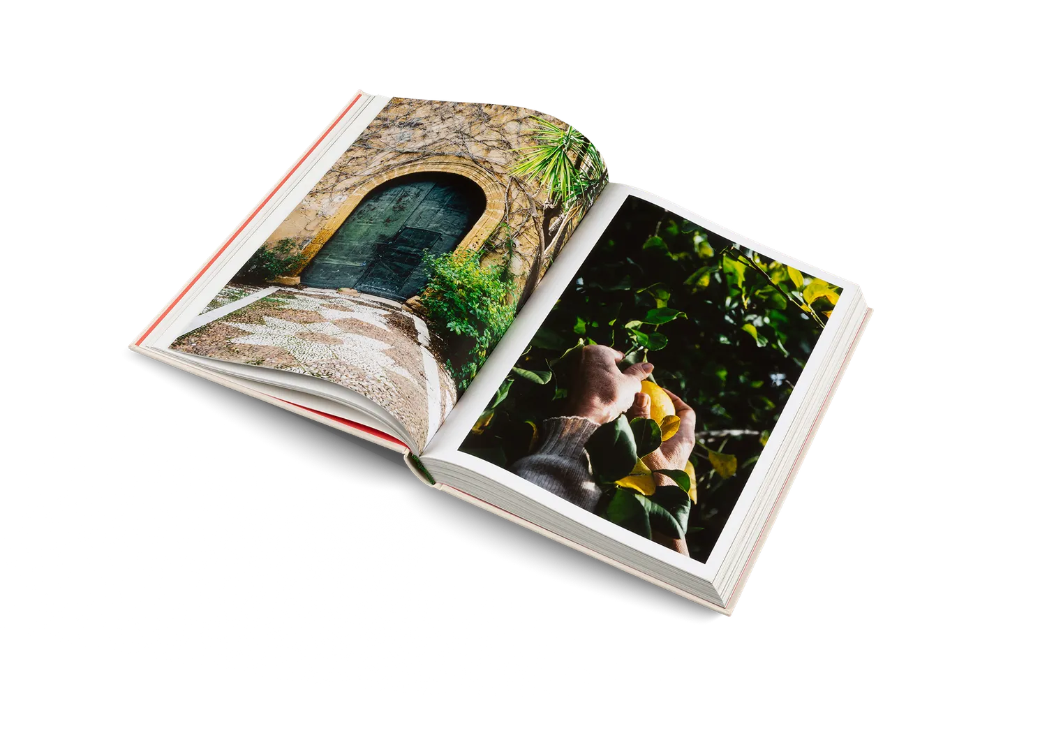 Gestalten Originale Kochbuch italienische Küche gebunden