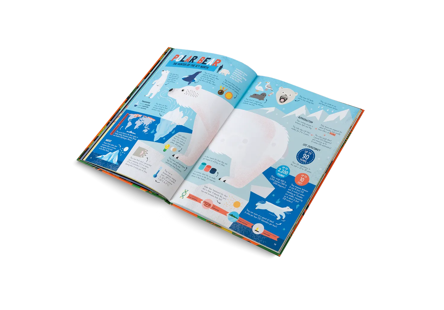 Little Gestalten The Hunters Kinderbuch ab 7 Jahre Raubtiere