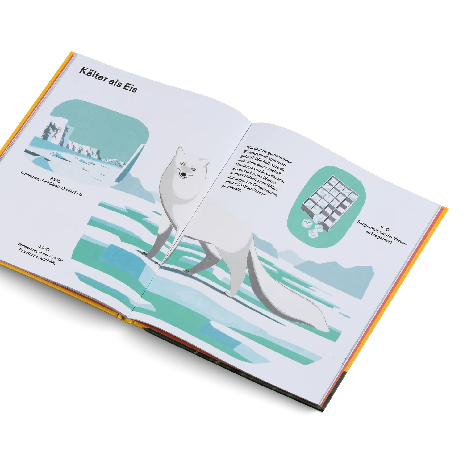 Gestalten Wie groß, wie weit, wie schnell? Die Welt und ich Kinderbuch