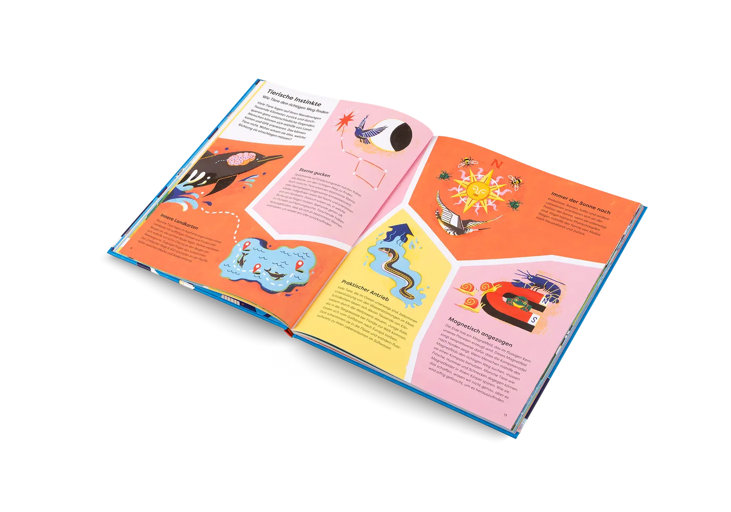 Kleine Gestalten Immer unterwegs Kinderbuch Tierwanderung