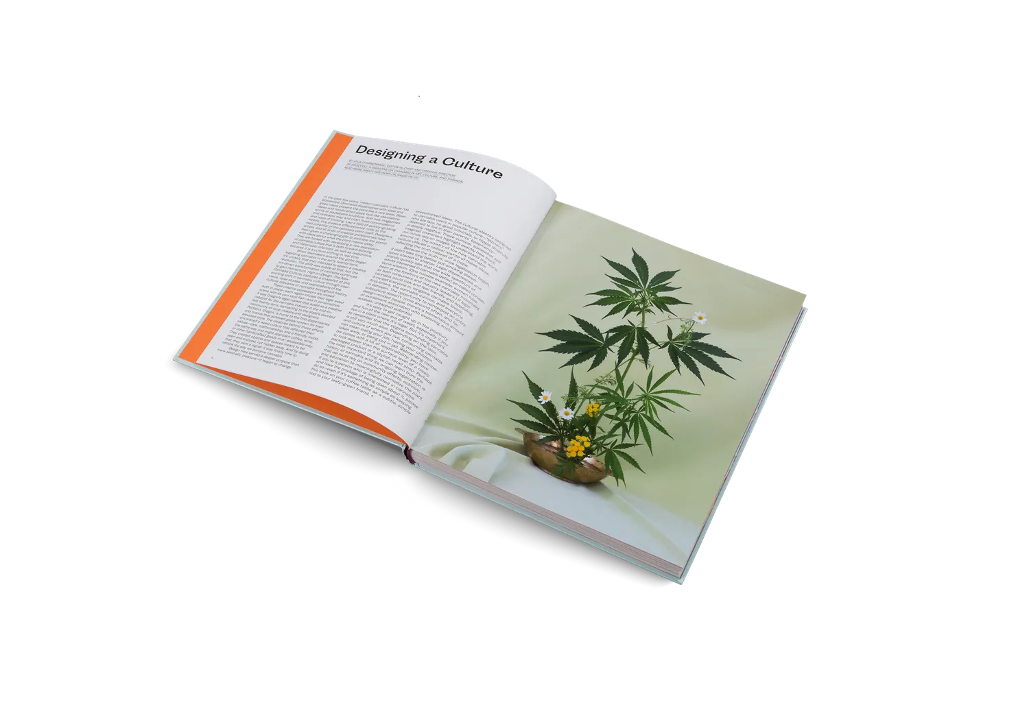 Gestalten High on Design Bildband Cannabis Design englisch