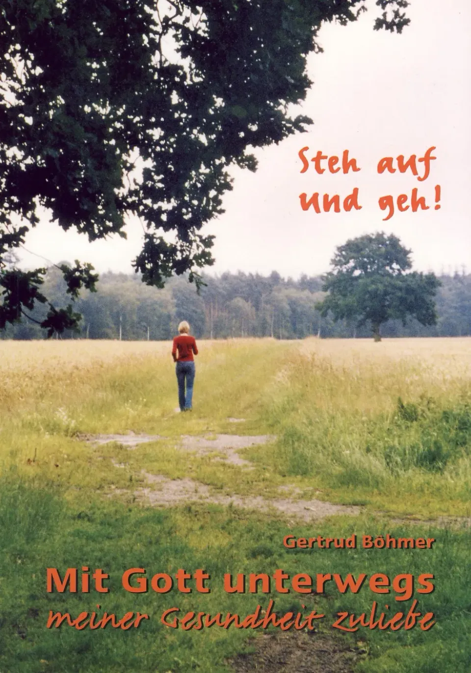 Isensee Literatur Steh auf und geh! Buch