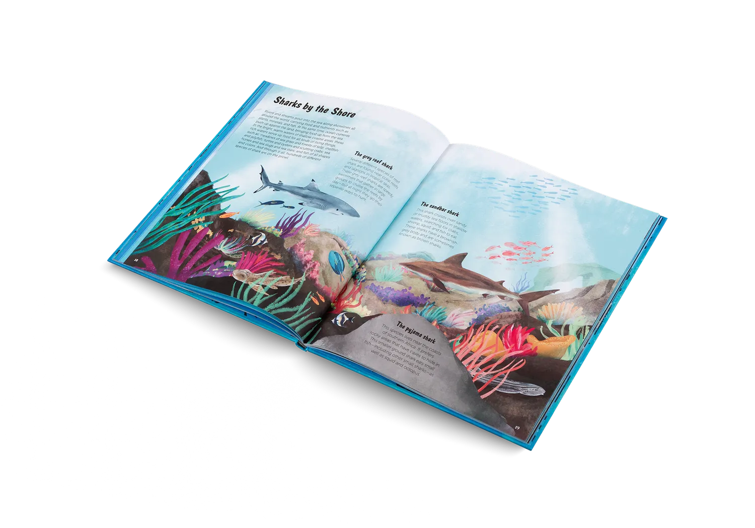 Gestalten The World of Sharks Kinderbuch Haie