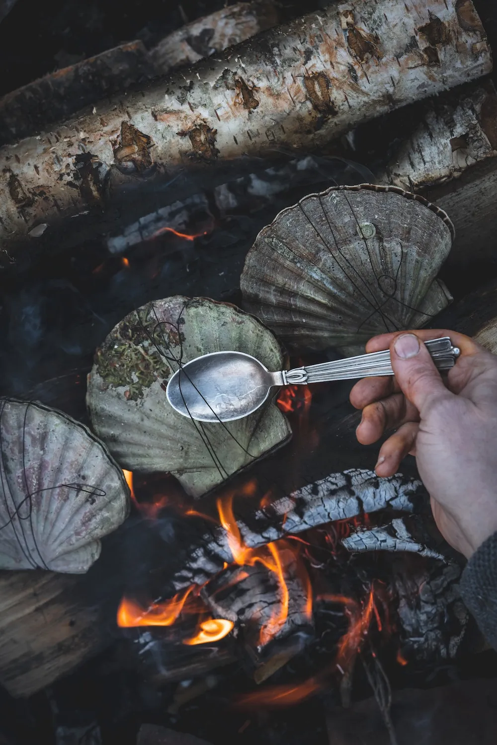 Gestalten Cooking on Fire Kochbuch Lagerfeuer Grillen