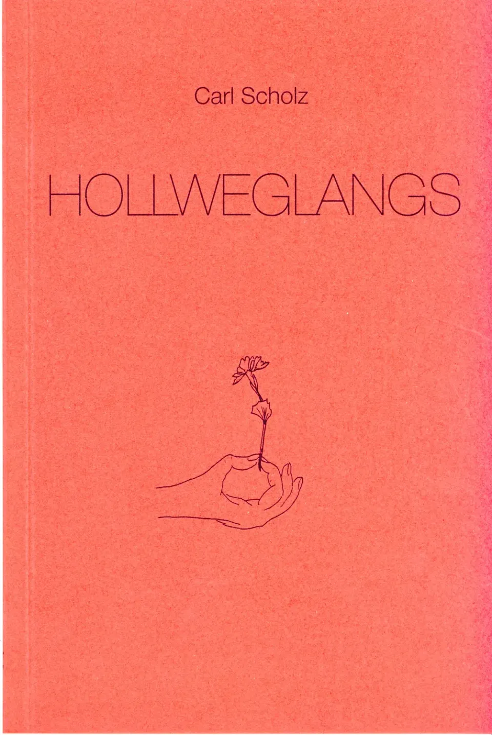 Isensee Verlag Hollweglangs Buch plattdeutsch