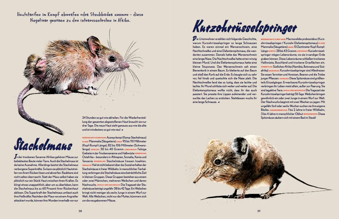 Gestalten Little Gestalten Auf Safari! Kinderbuch Tiere