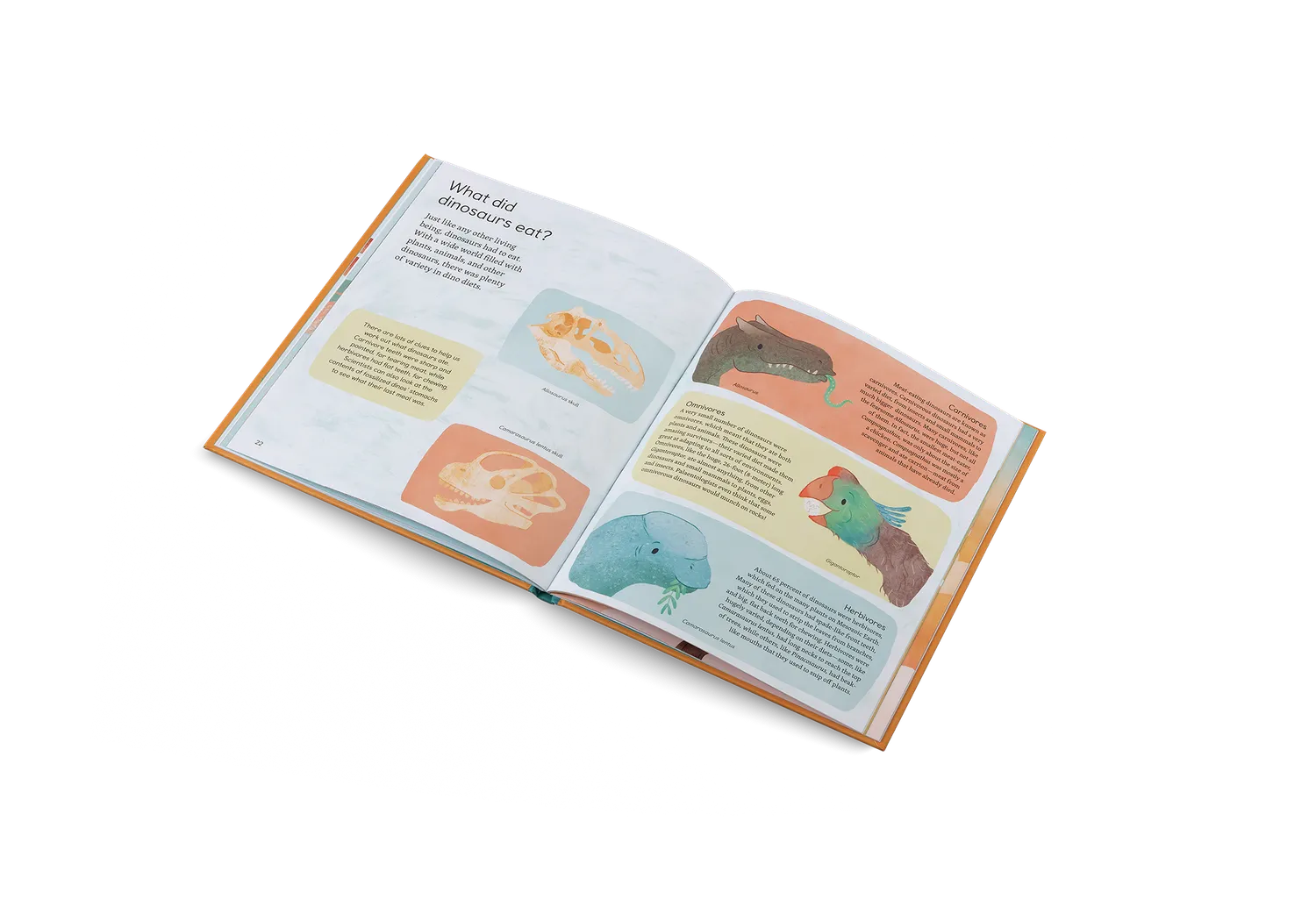 Gestalten Ask Me About Dinosaurs Kinderbuch Dino-Fragen