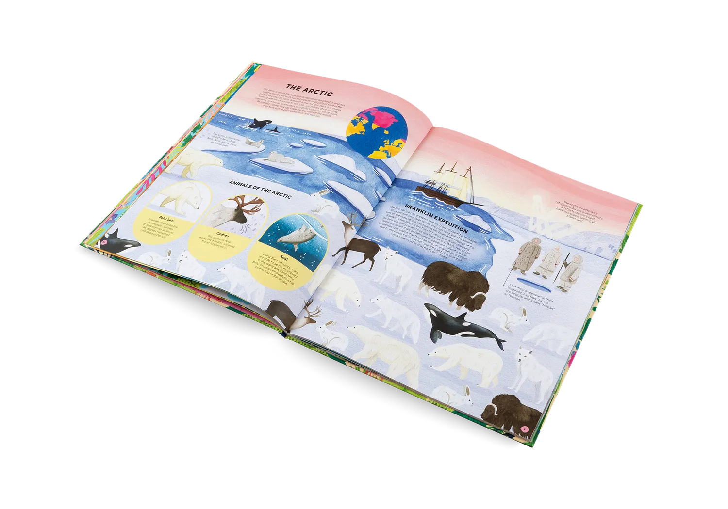 Little Gestalten Animals Everywhere Kinderbuch Artenvielfalt 7 Jahre