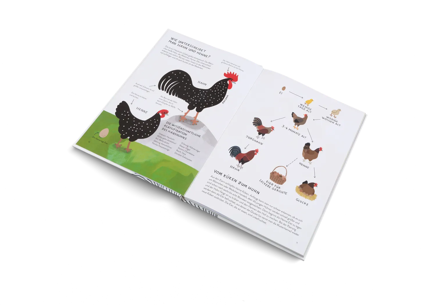 Kleine Gestalten Ich wollt, ich wär ein Huhn Kindersachbuch Huhn