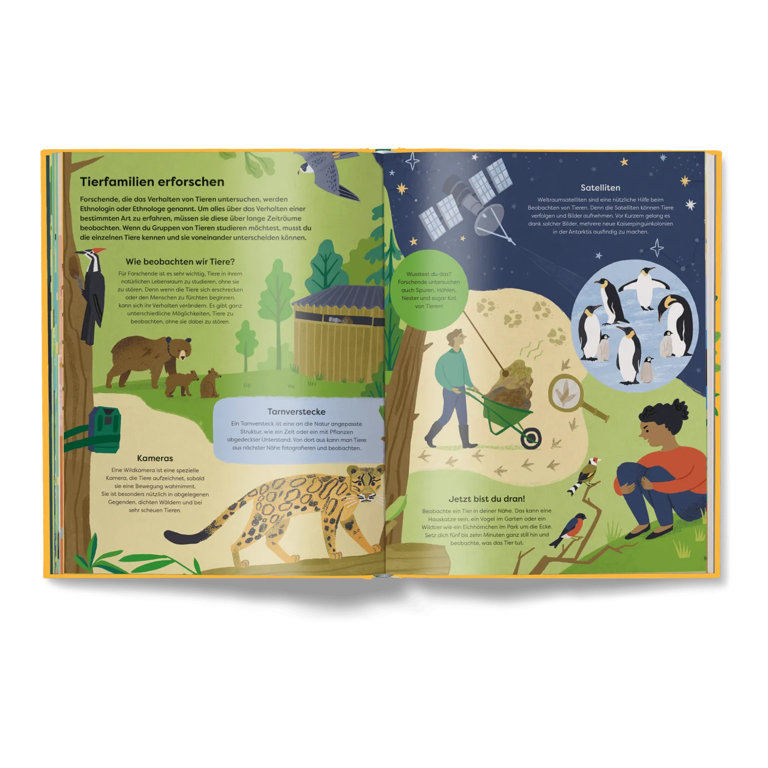 Kleine Gestalten Wildes Zusammenleben Kinderbuch Tierfamilien