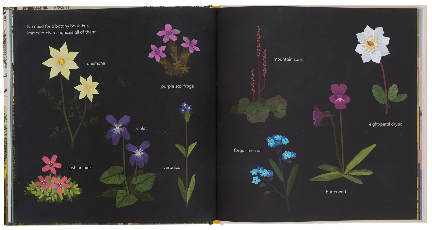Gestalten Mystery Golden Wonderflower Bilderbuch Englisch