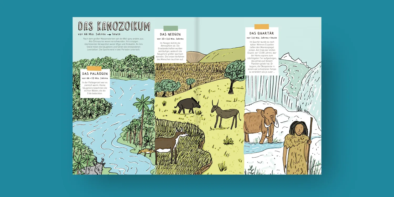Seemann Henschel Steine und Gebeine Kinderbuch ab 8