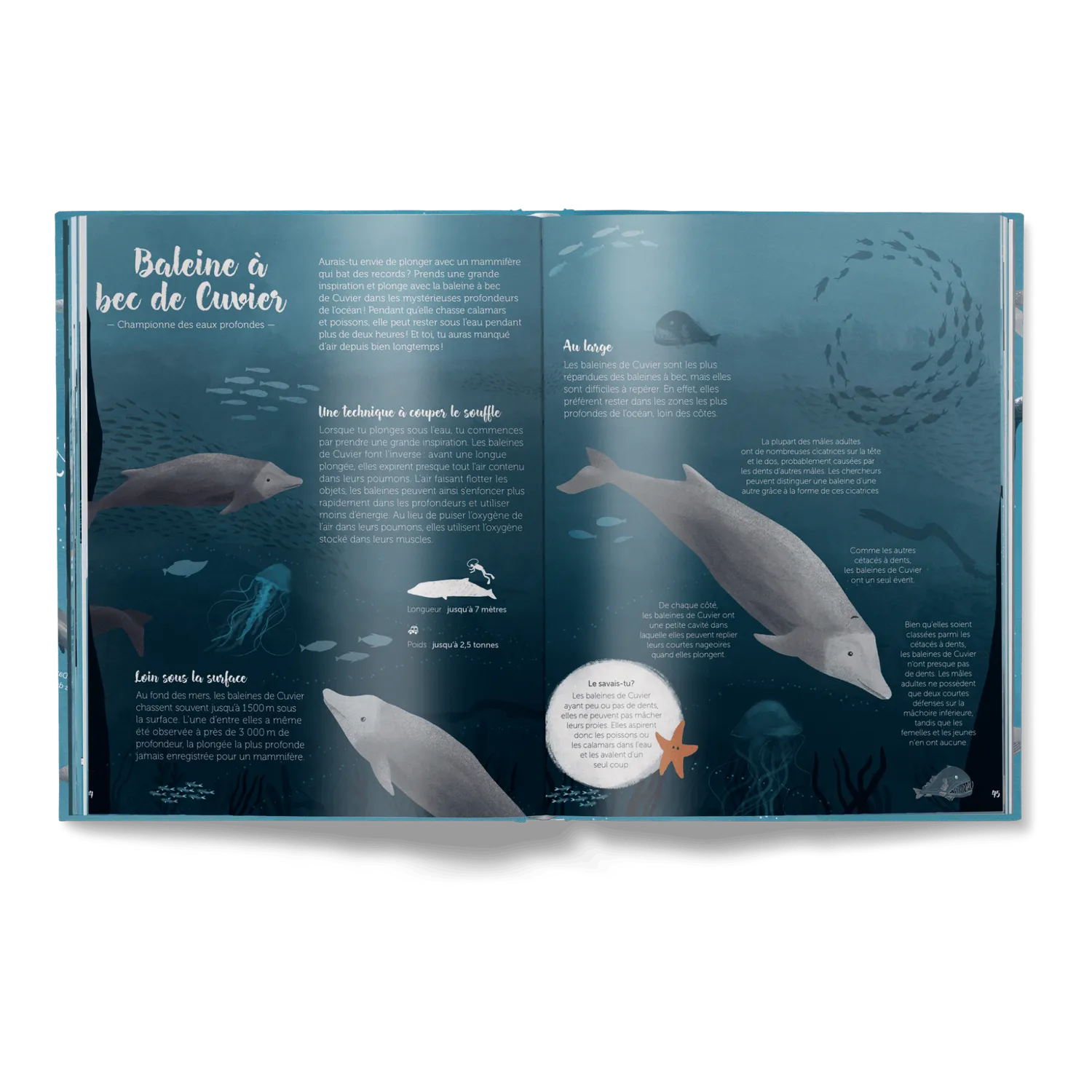 Little Gestalten Le Monde des Baleines Kinderbuch Wale französisch