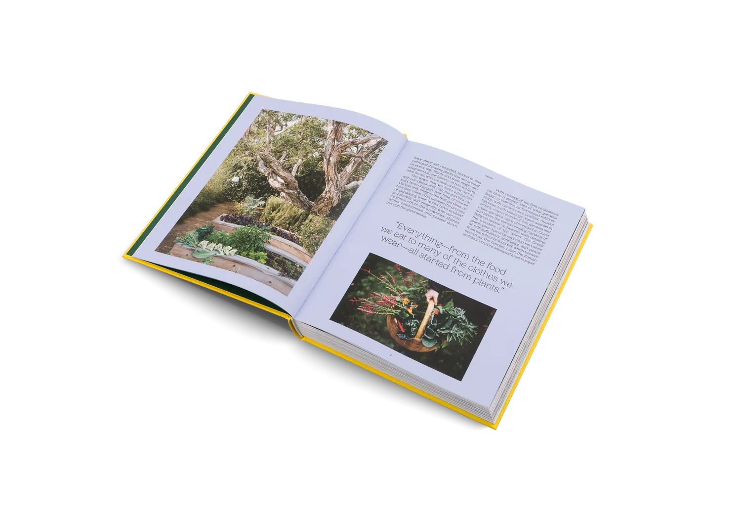 gestalten The Gardens of Eden Bildband Gärten englisch