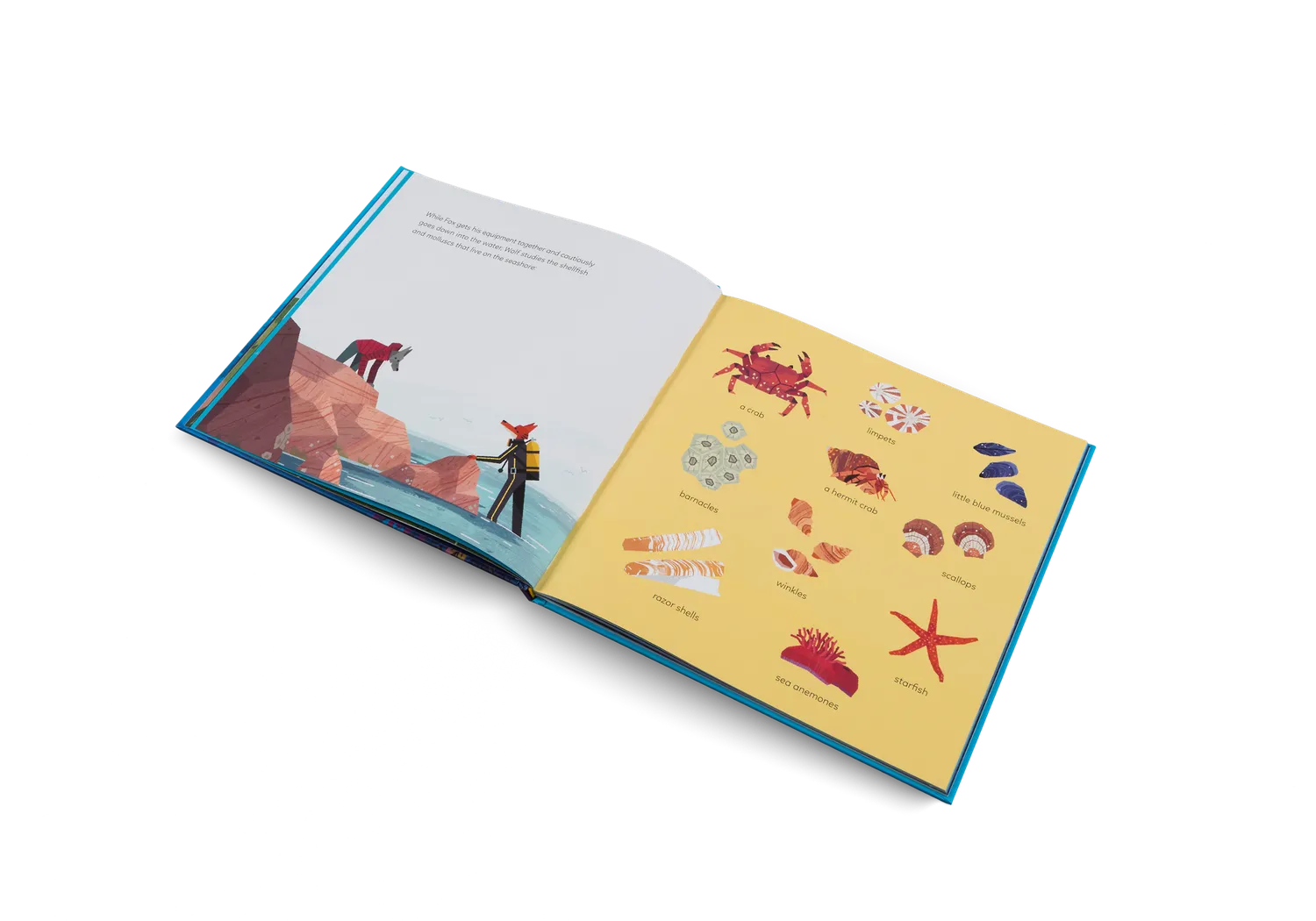 Little Gestalten Fox and the Deep Sea Quest Kinderbuch Meer