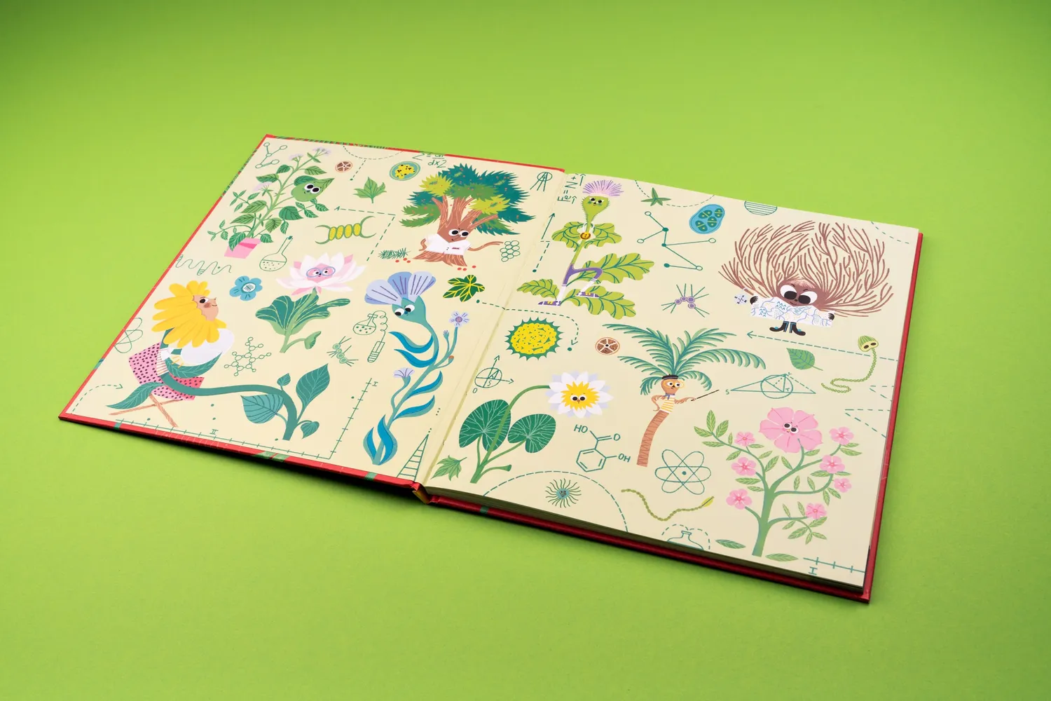 Seemann Henschel Geniale Power-Pflanzen Kinderbuch ab 5 Jahren