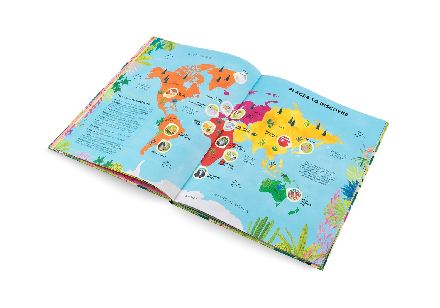 Little Gestalten Animals Everywhere Kinderbuch Artenvielfalt 7 Jahre