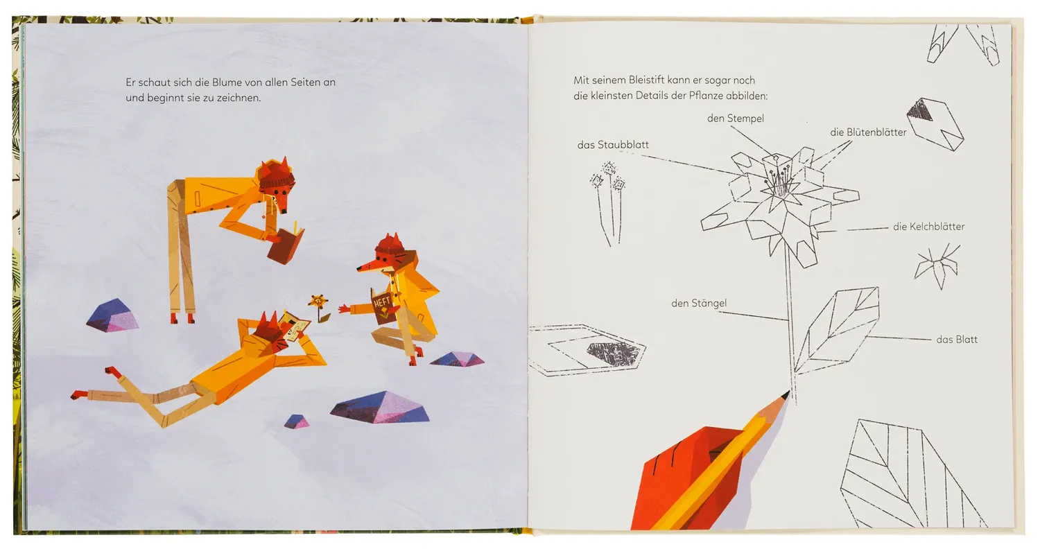 Gestalten Die goldene Funkelblume Bilderbuch gebunden ab 3