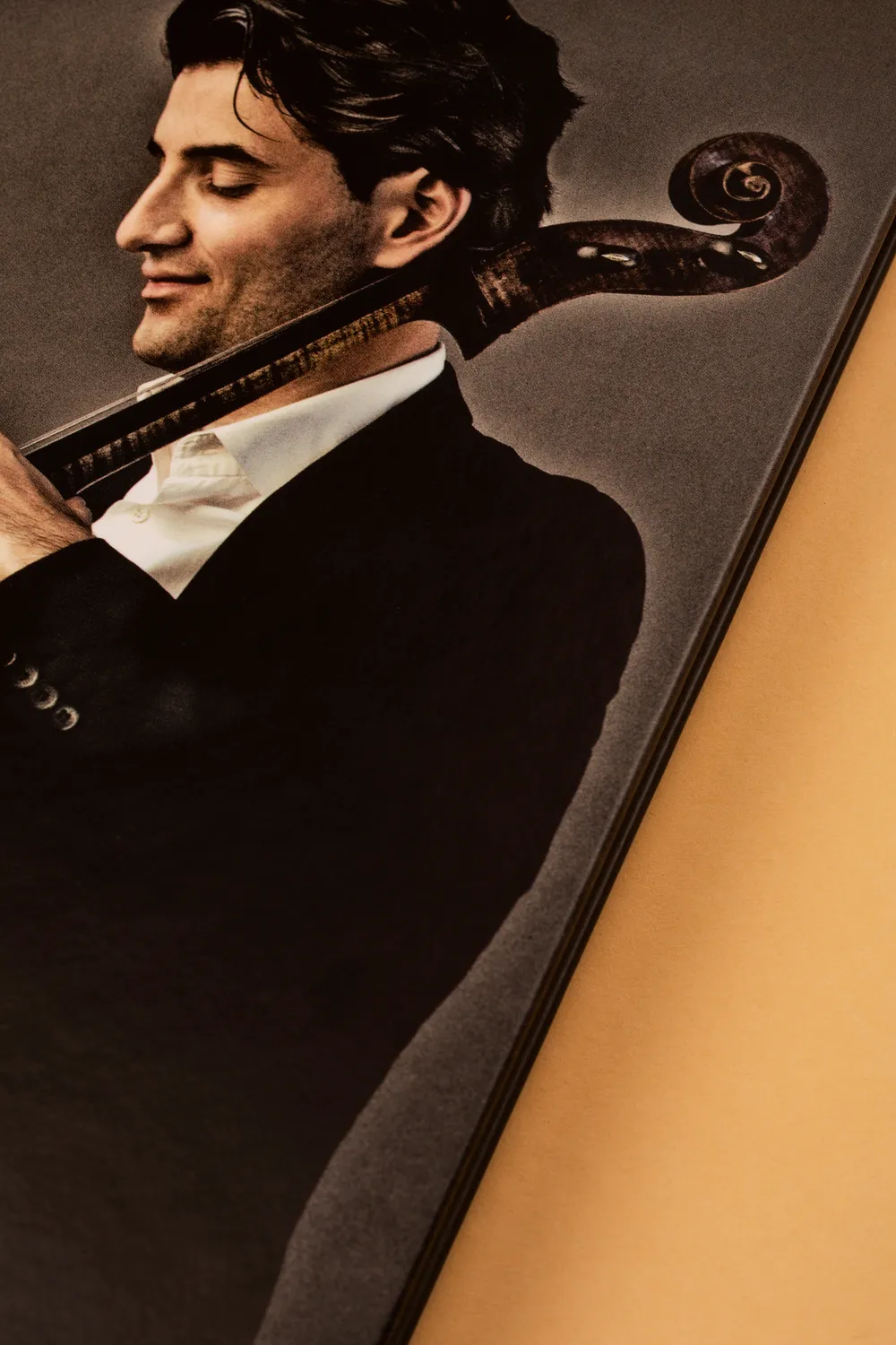 Seemann Henschel Musikergesundheit in der Praxis Buch