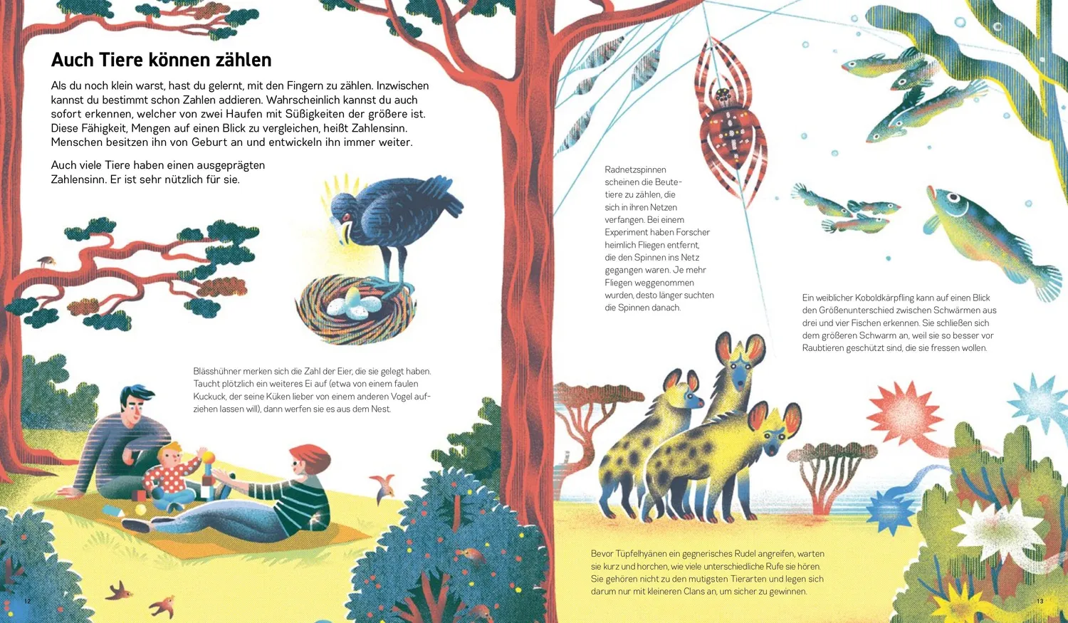 Kleine Gestalten Zählen Rechnen Messen Sachbuch 7-9