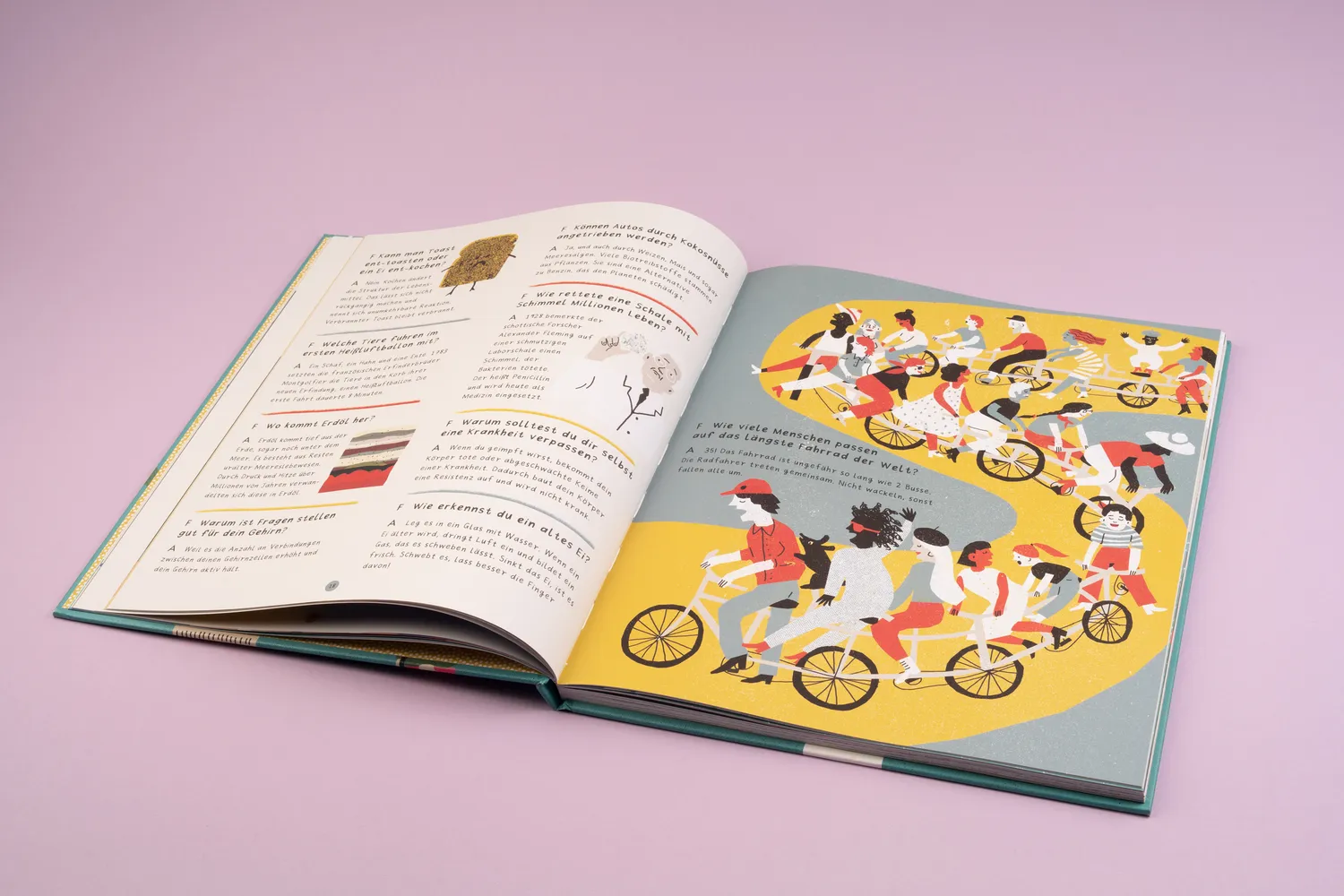 Seemann Henschel Enzyklopaedie unglaubliche Fakten Kinderbuch