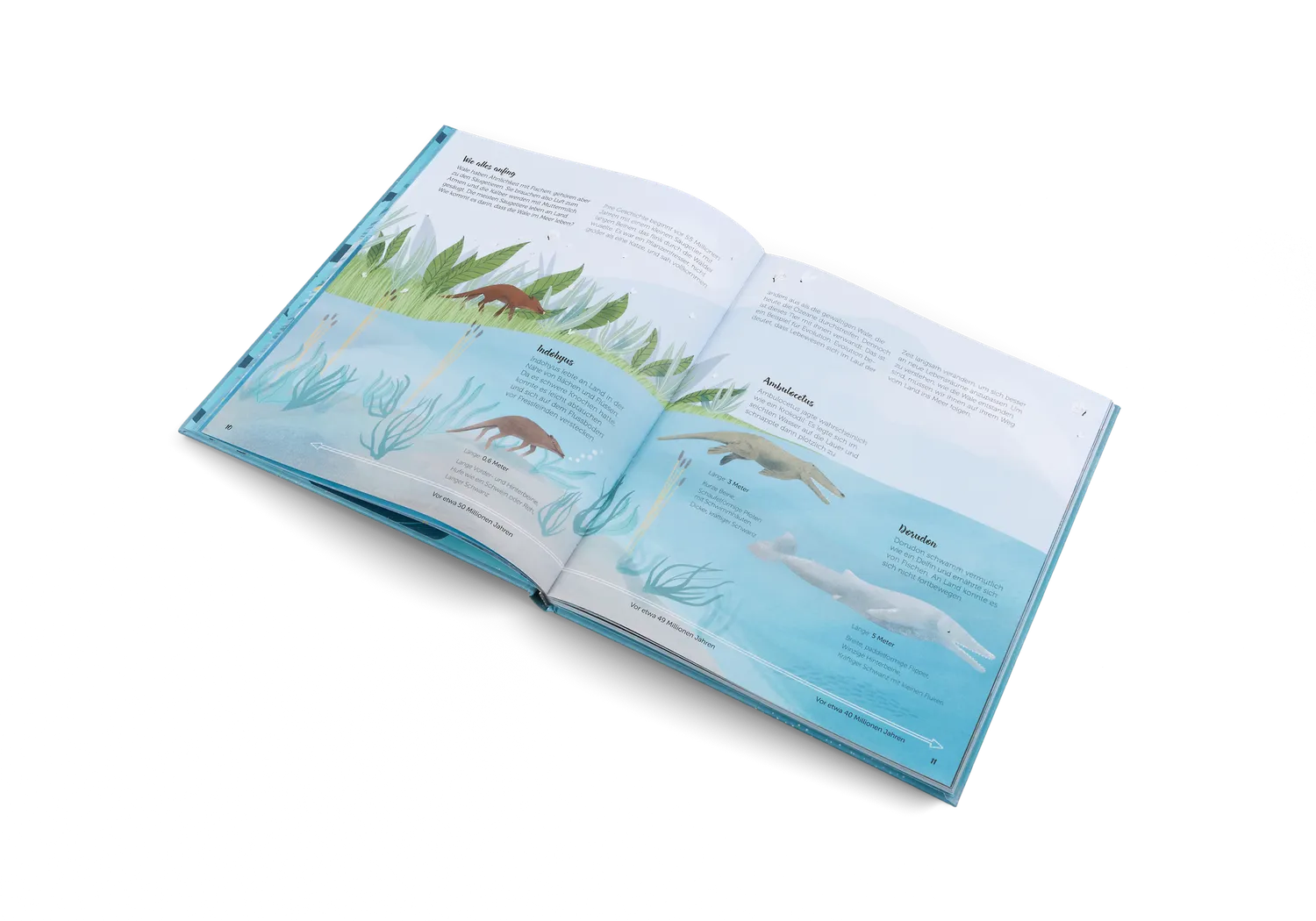 Little Gestalten Die Welt der Wale Sachbuch 5-7 Jahre