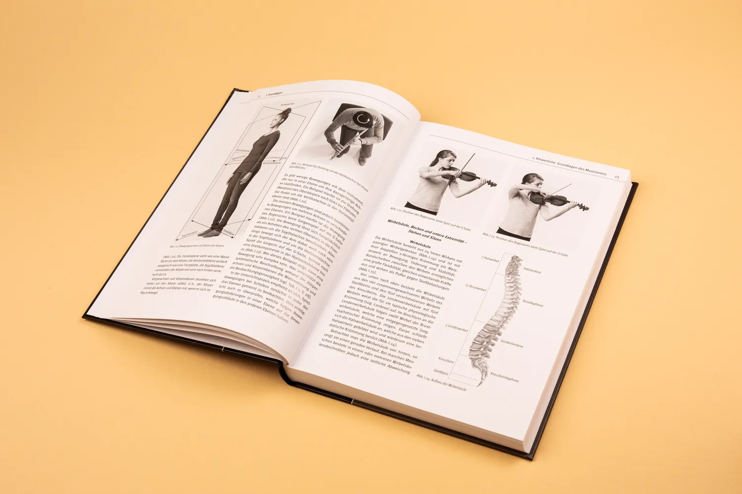 Seemann Henschel Musikergesundheit in der Praxis Buch