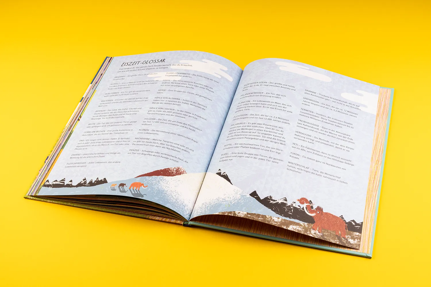 Seemann Henschel Mia Mammut Eiszeit Kinderbuch ab 5