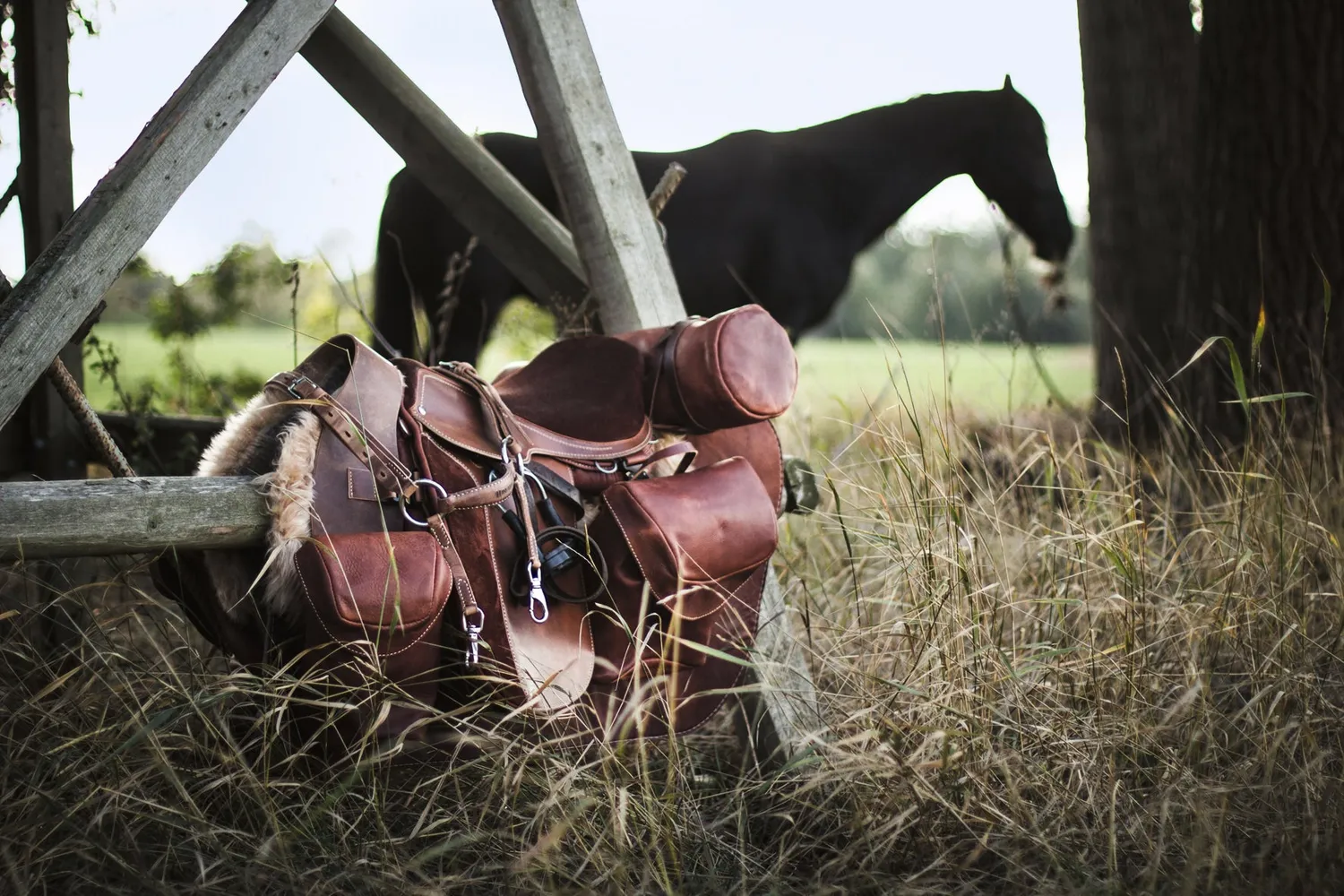 gestalten Reiten Das ultimative Buch Bildband gebunden Luxus