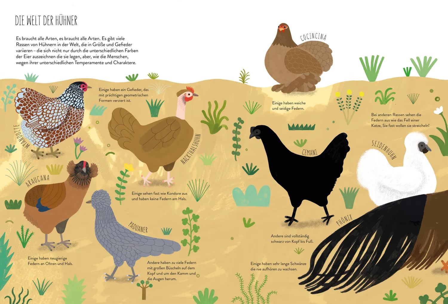 Kleine Gestalten Ich wollt, ich wär ein Huhn Kindersachbuch Huhn