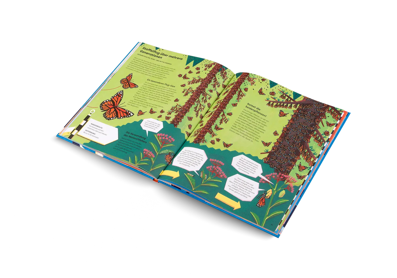 Kleine Gestalten Immer unterwegs Kinderbuch Tierwanderung