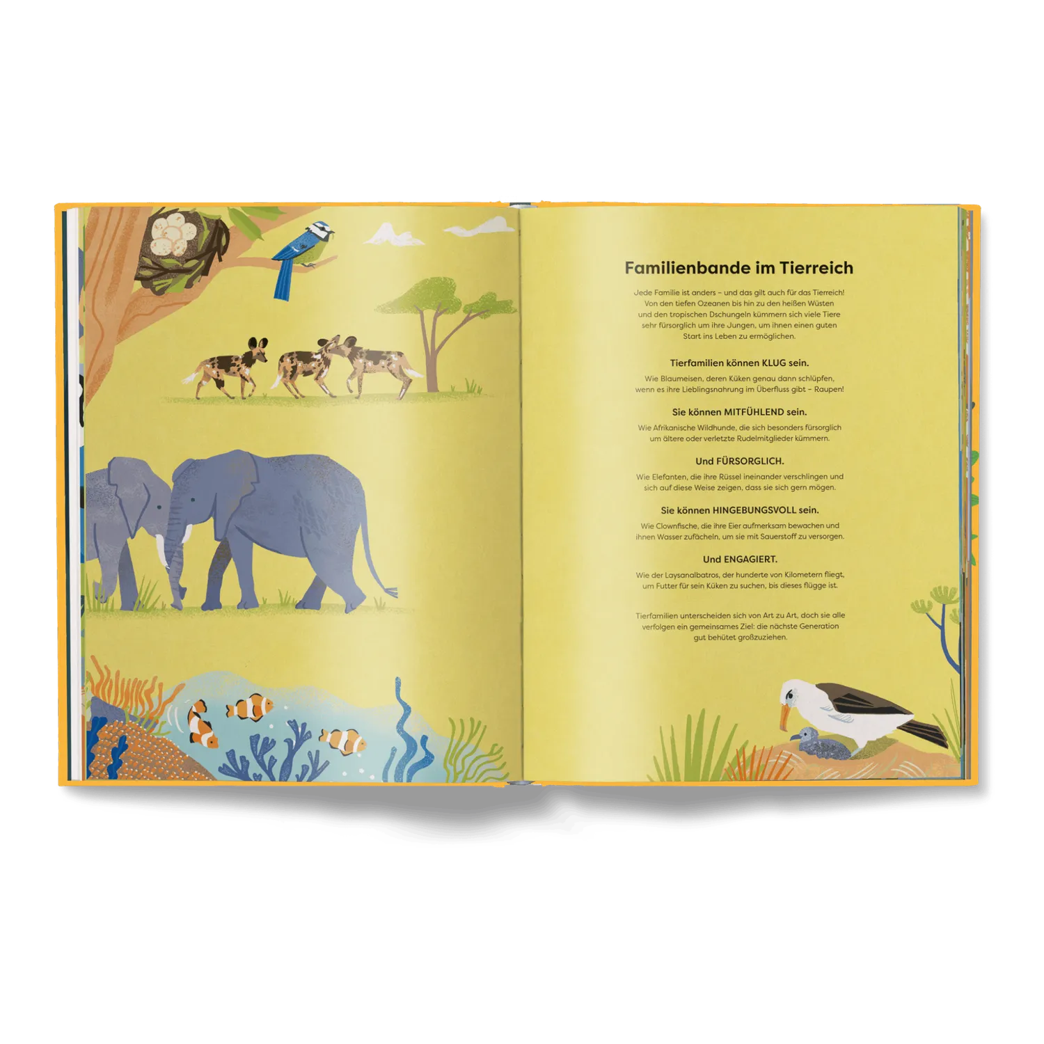Kleine Gestalten Wildes Zusammenleben Kinderbuch Tierfamilien