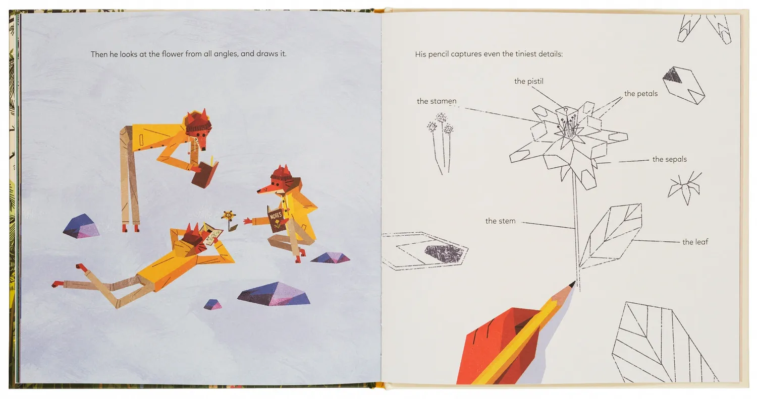 Gestalten Mystery Golden Wonderflower Bilderbuch Englisch