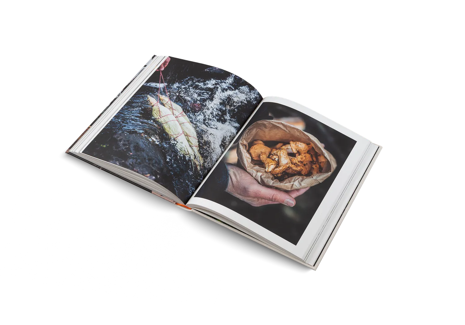 Gestalten Gemüse vom Feuer Kochbuch vegetarisch