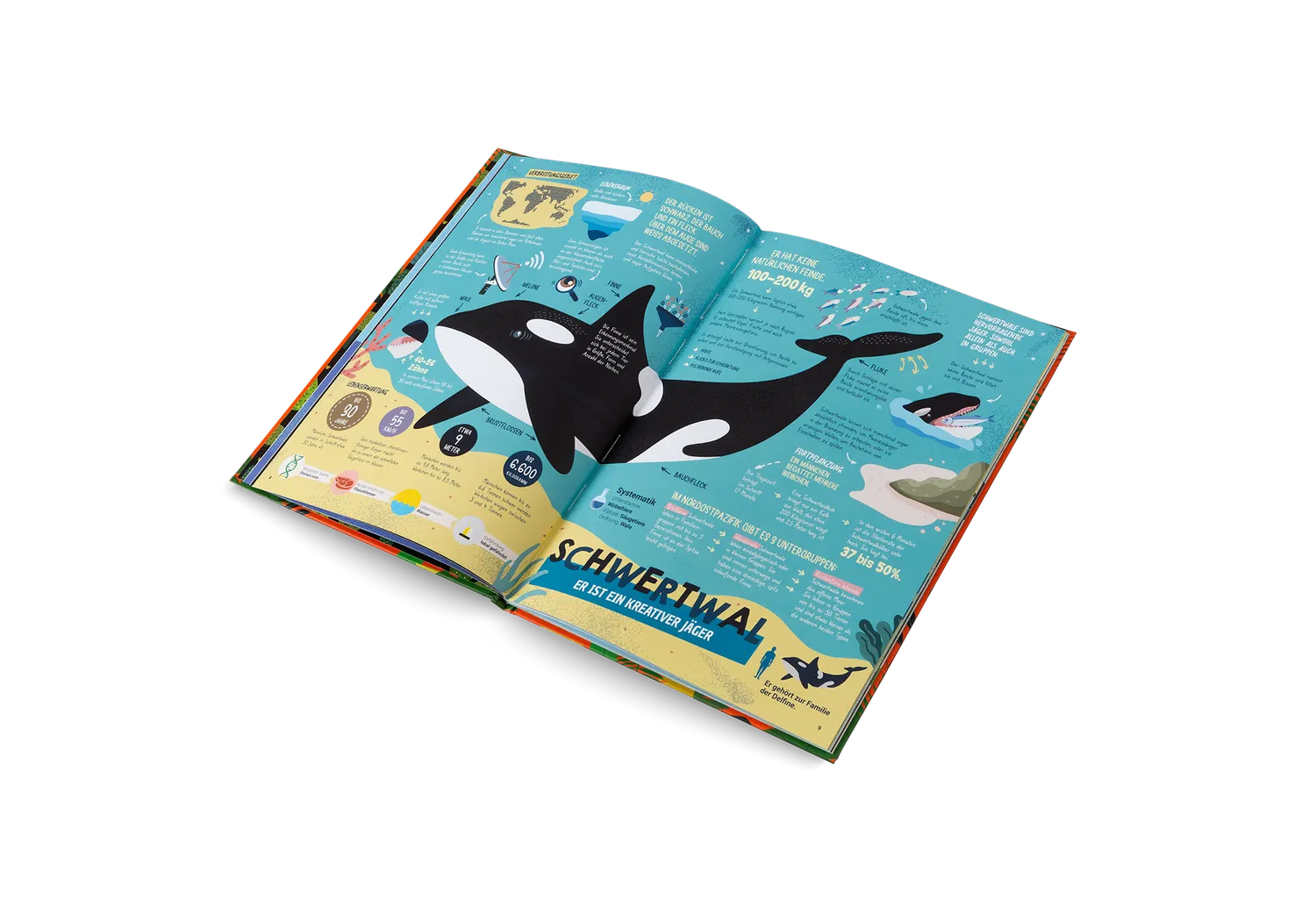 gestalten Die Jäger des Tierreichs Kinderbuch gebunden