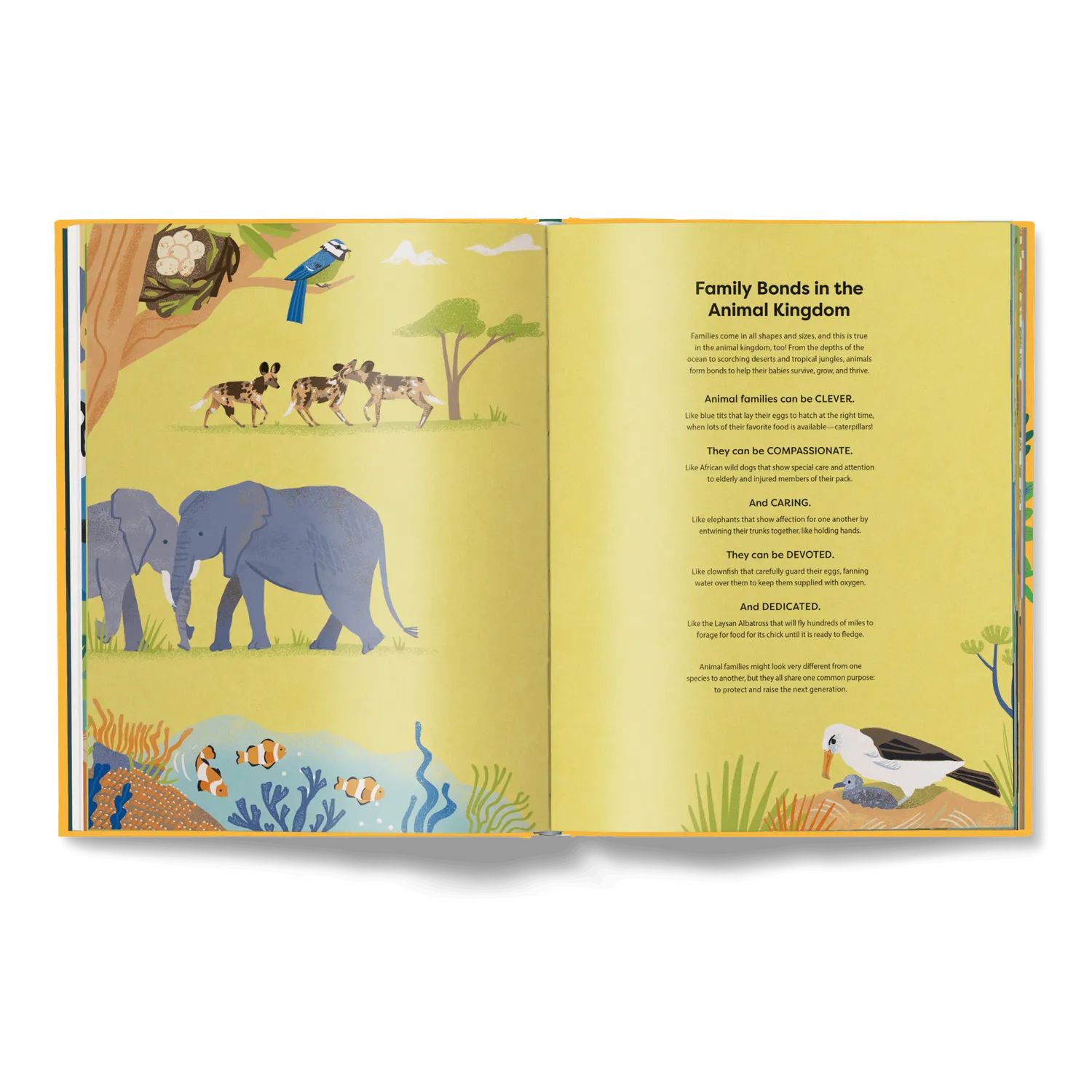Little Gestalten Home Is Where the Herd Is Kinderbuch Tiere